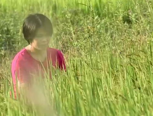 深山稻香飘四方 学历不高的她，年销亿元创奇迹